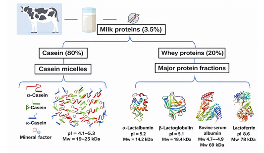 The protein composition of milk – the hidden intelligence of a natural system