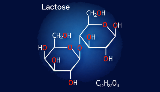 Lactose in Milk – The Sugar that Governs Balance, Flavor, and the Life of the Dairy System