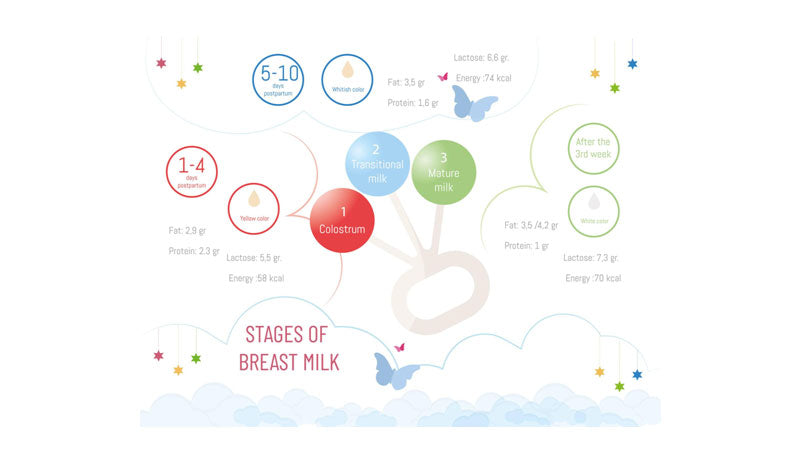 Variability of the chemical composition of milk – biological adaptability, systemic flexibility, and significance for quality