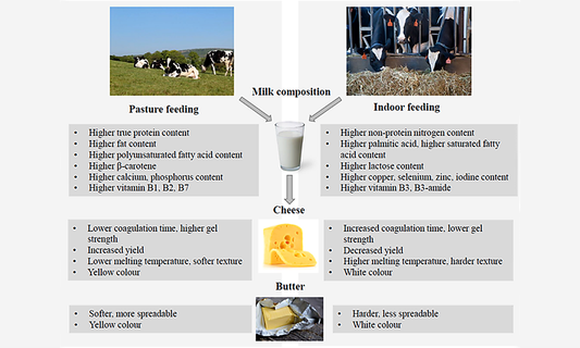 Factors affecting the chemical composition of milk – breed, nutrition, lactation period, and season as biological and technological determinants.